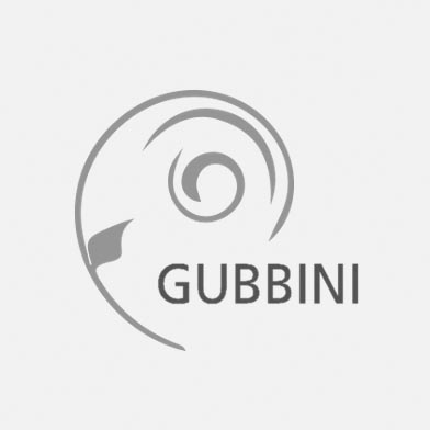 GUBBINI/Gyn